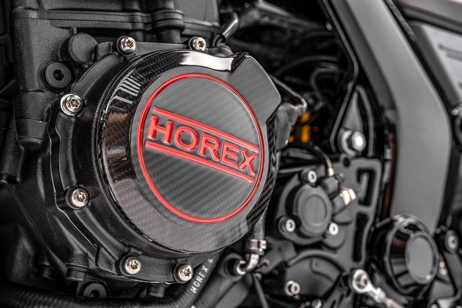 HOREX_VR6_RAW99_Redline-14.jpg