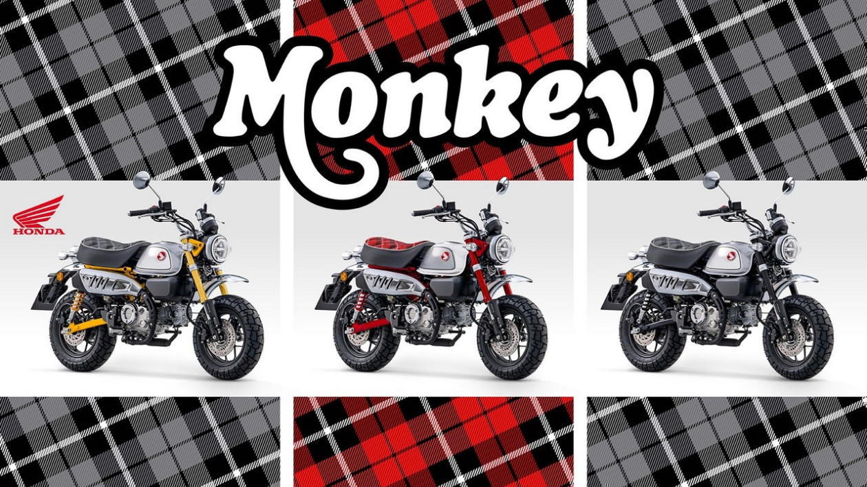 honda monkey