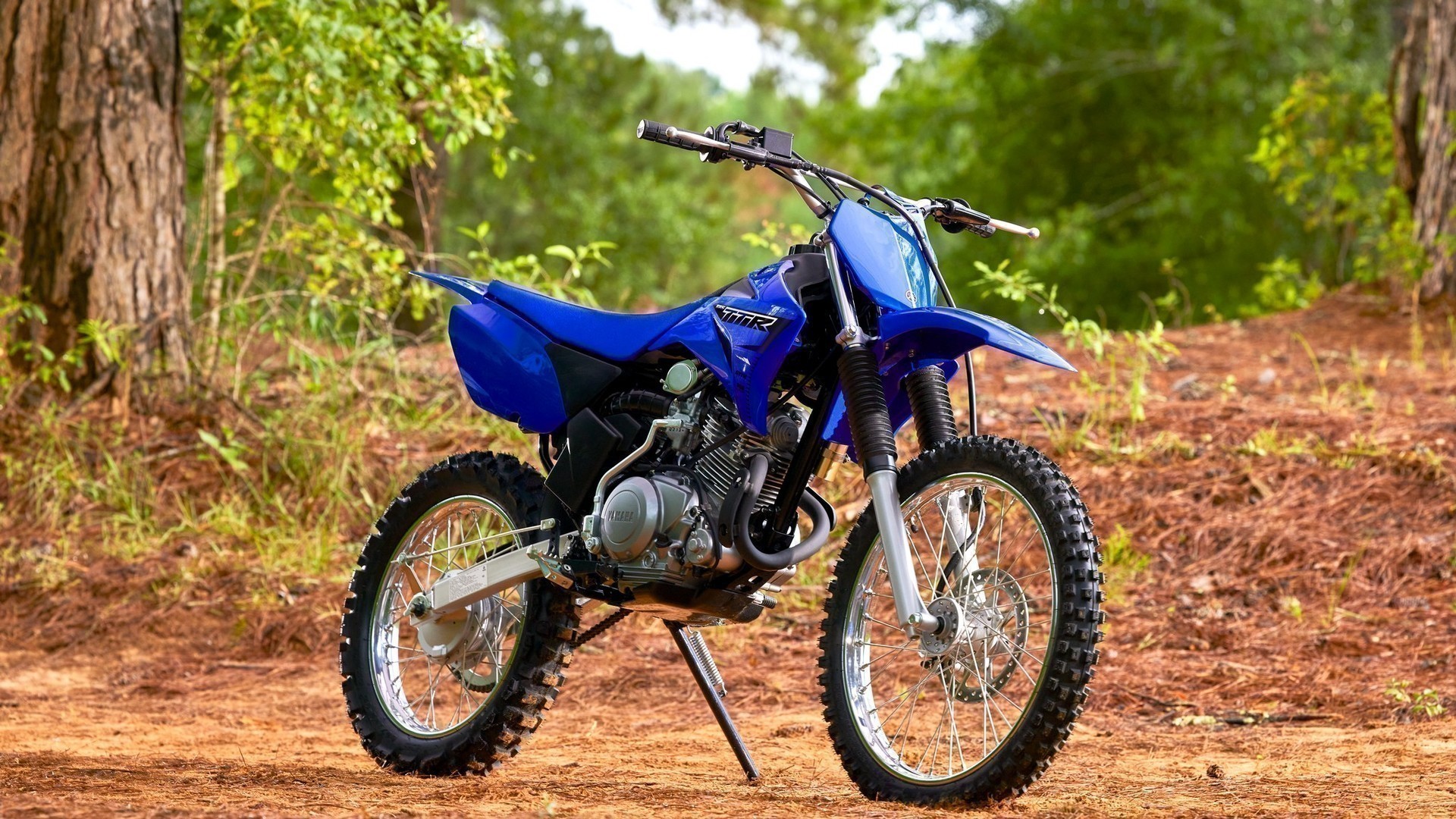 yamaha ttr