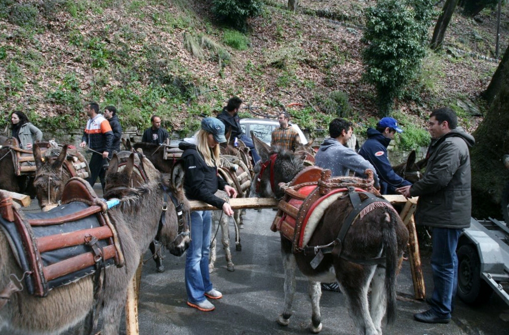 Red Bull Donkey Cross - Ανταπόκριση από Μακρινίτσα