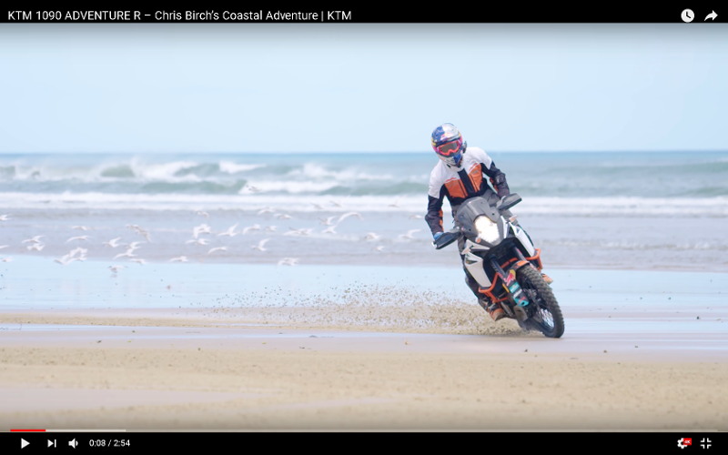 Video - Birch on the Beach