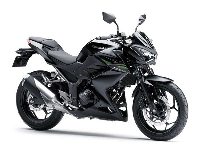 Kawasaki Z 250 / 300 2013