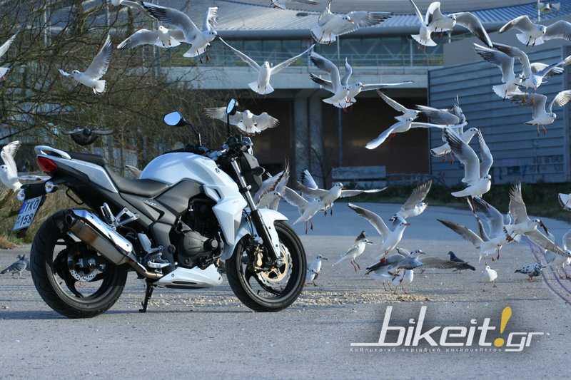 Test - SYM Wolf 250i 2012