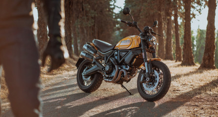 Ducati Scrambler 1100 Tribute PRO 2022