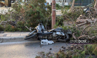 Ηράκλειο - Ζητούν αποζημίωση 1 εκατομμύριο για το θάνατο αναβάτη από πτώση δέντρου