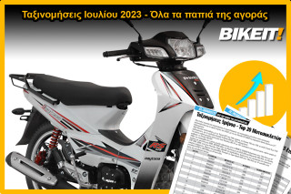 Ταξινομήσεις Ιουλίου 2023, παπιά - Όλα τα μοντέλα των εταιρειών